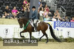 24R13_17892 thumbnail