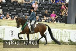 24R13_17893 thumbnail
