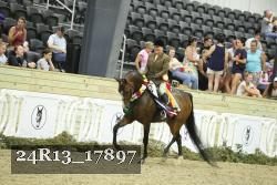 24R13_17897 thumbnail