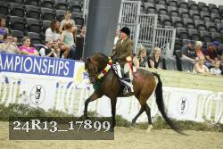 24R13_17899 thumbnail