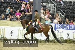 24R13_17901 thumbnail