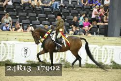 24R13_17902 thumbnail