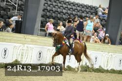 24R13_17903 thumbnail