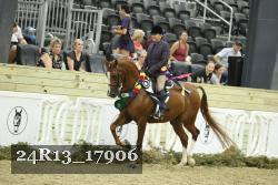 24R13_17906 thumbnail