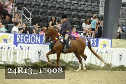 24R13_17908 thumbnail