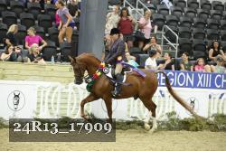 24R13_17909 thumbnail