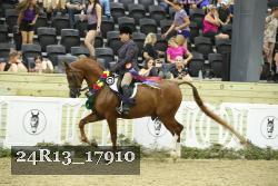 24R13_17910 thumbnail