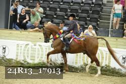 24R13_17913 thumbnail