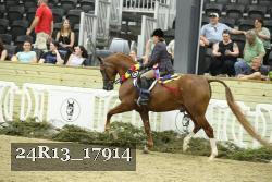 24R13_17914 thumbnail