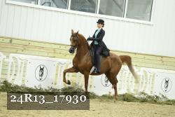 24R13_17930 thumbnail