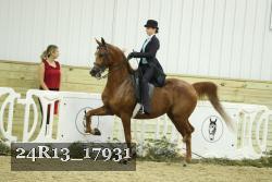 24R13_17931 thumbnail