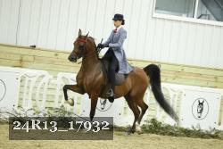 24R13_17932 thumbnail