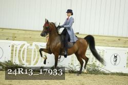 24R13_17933 thumbnail