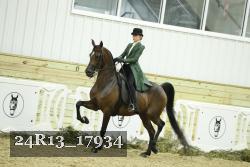 24R13_17934 thumbnail