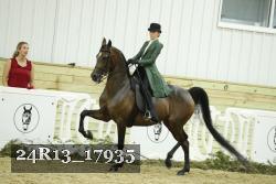 24R13_17935 thumbnail