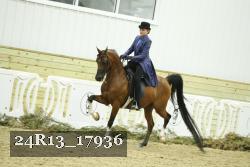 24R13_17936 thumbnail
