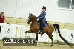 24R13_17937 thumbnail