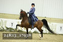 24R13_17938 thumbnail