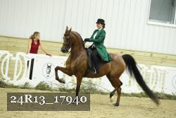 24R13_17940 thumbnail