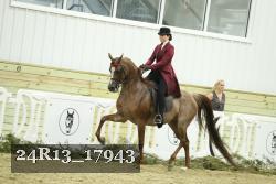 24R13_17943 thumbnail