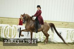 24R13_17944 thumbnail