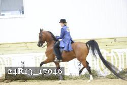 24R13_17946 thumbnail