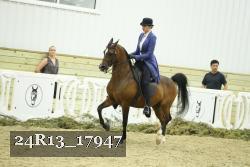 24R13_17947 thumbnail