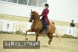 24R13_17948 thumbnail