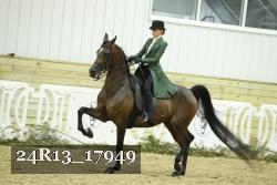24R13_17949 thumbnail