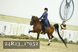 24R13_17952 thumbnail