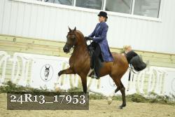 24R13_17953 thumbnail