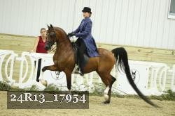 24R13_17954 thumbnail