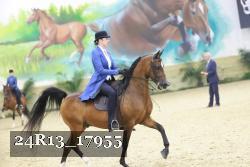 24R13_17955 thumbnail
