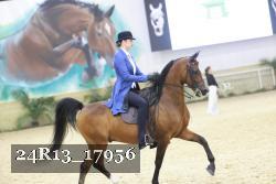 24R13_17956 thumbnail