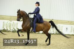 24R13_17957 thumbnail