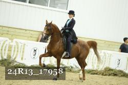 24R13_17958 thumbnail