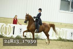 24R13_17959 thumbnail