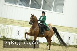 24R13_17960 thumbnail