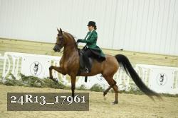 24R13_17961 thumbnail