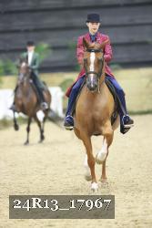 24R13_17967 thumbnail