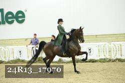 24R13_17970 thumbnail
