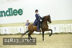 24R13_17972 thumbnail