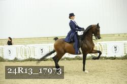 24R13_17973 thumbnail