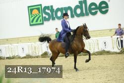 24R13_17974 thumbnail