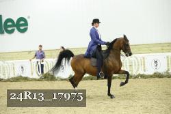 24R13_17975 thumbnail