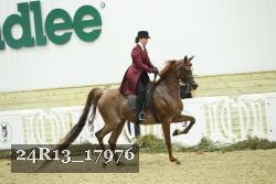 24R13_17976 thumbnail