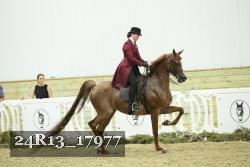 24R13_17977 thumbnail
