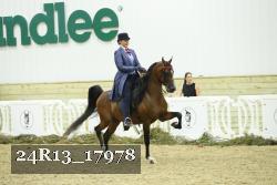 24R13_17978 thumbnail