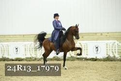 24R13_17979 thumbnail