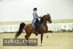 24R13_17980 thumbnail
